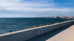 Protect Your Waterhome Property